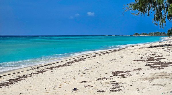am Astove-Atoll