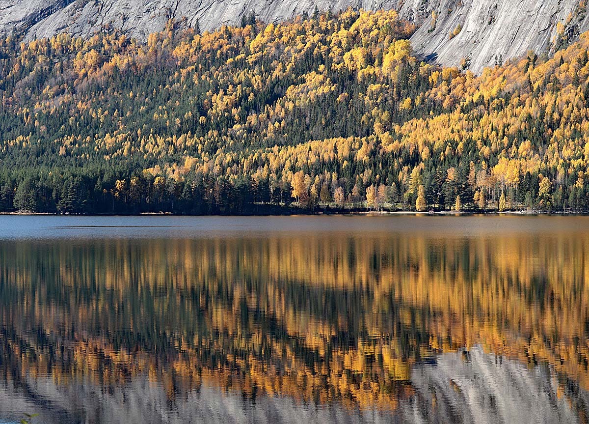 und einfach traumhafte Herbstfarben 