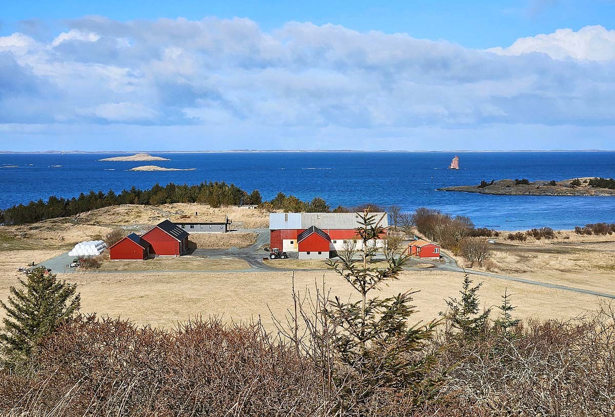 Blick auf die Nordsee