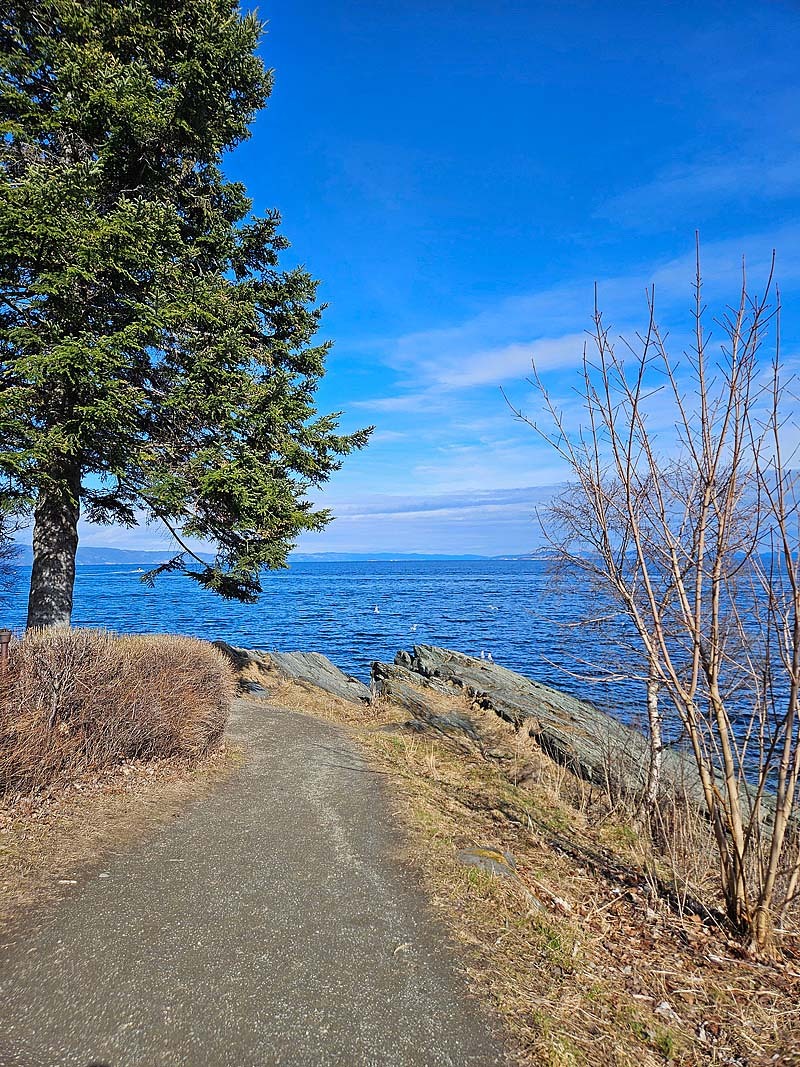 auf einem der vielen Küstenwanderwege vor Trondheim