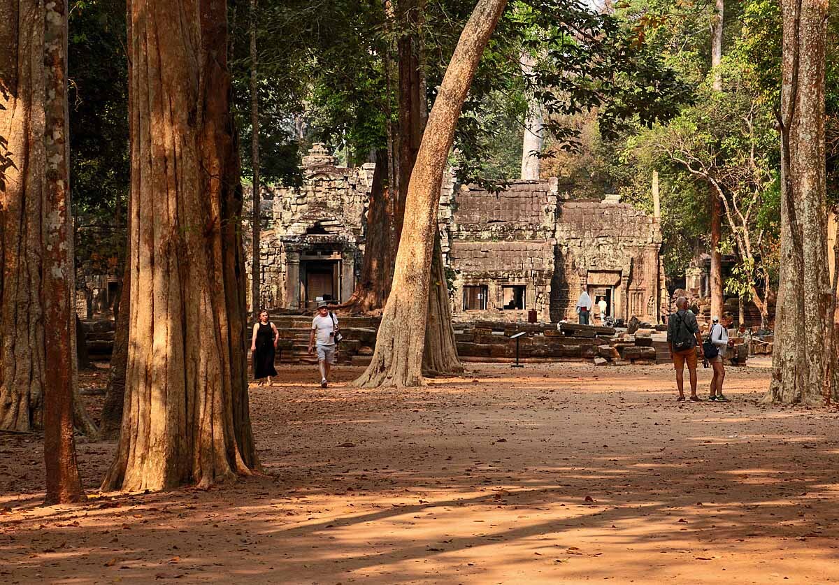 auf dem Weg zum "Ta Prohm Tempel"