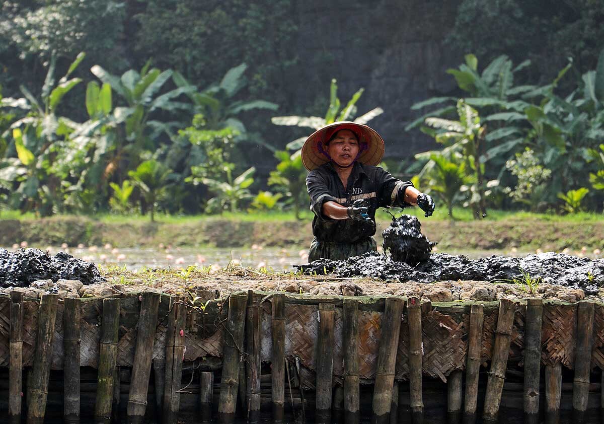 vietnamesische Bauarbeiter-Frauen ;-)......die mussten wohl die Mauer zu ihrem Lotusblütenfeld abdichten