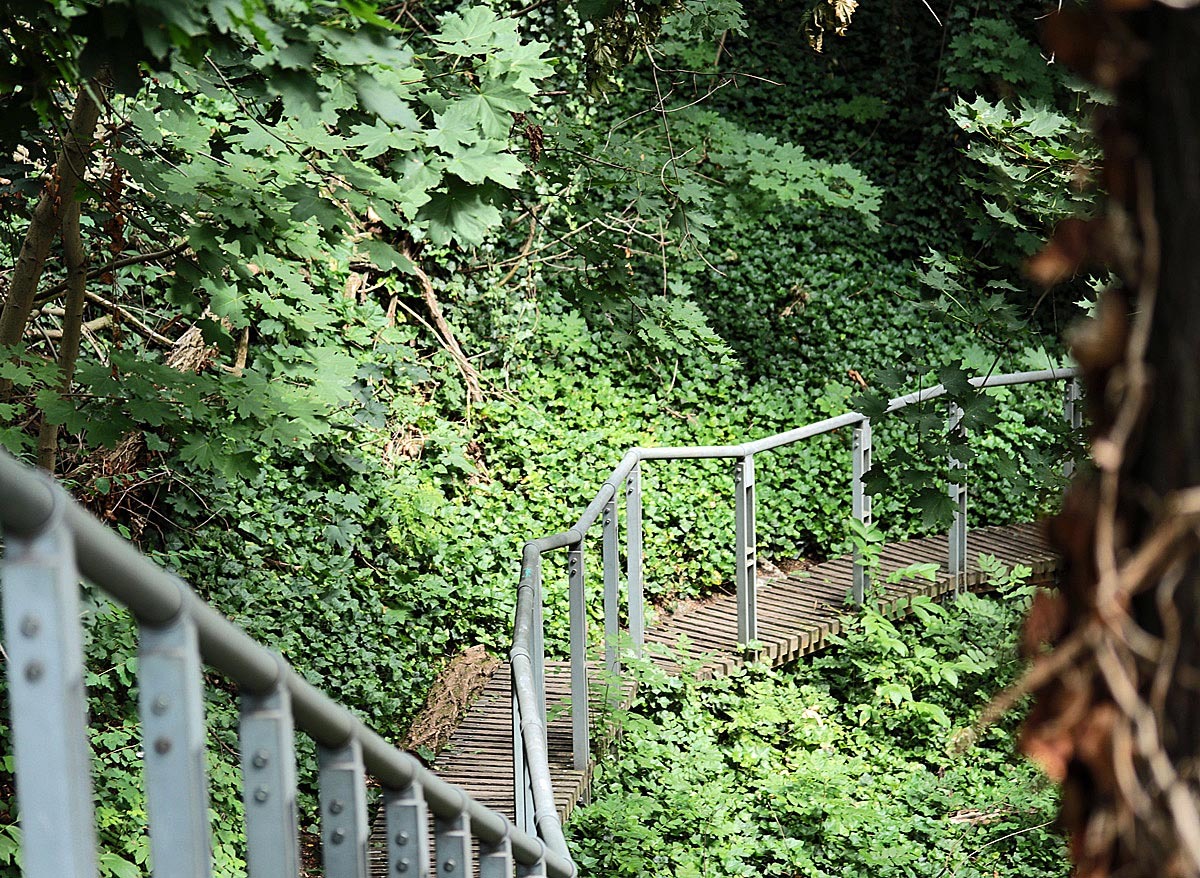 im Hirschgraben, ein kleiner Park/Wald hinter dem Burggelände