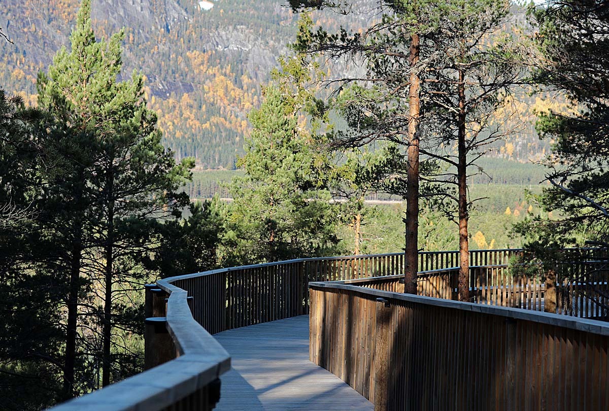 auf dem "Baumwipfelweg"