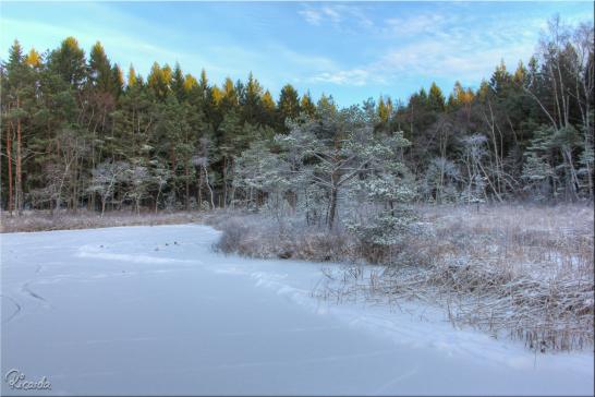 Leider nur wenig Schnee in diesem Winter