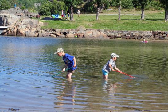 Forschungsstudien im Wasser