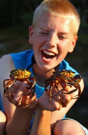 Felix beim Krebsefangen....