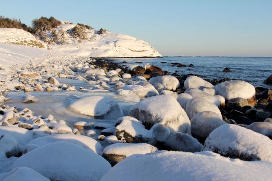 Insel Tromøya