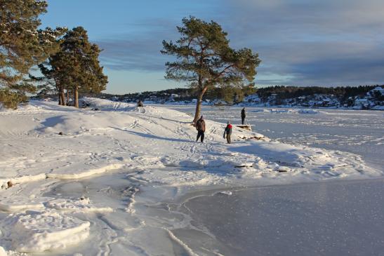 Auf Buøya (Eydehavener Insel)